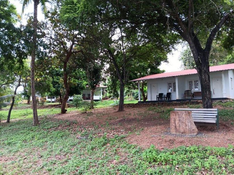 Aligama Cottage Talakolawela Bagian luar foto