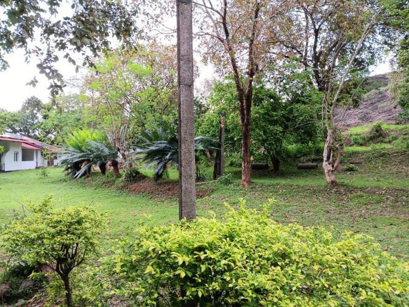 Aligama Cottage Talakolawela Bagian luar foto