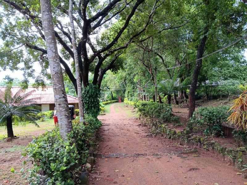 Aligama Cottage Talakolawela Bagian luar foto